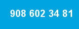 908 602 34 81